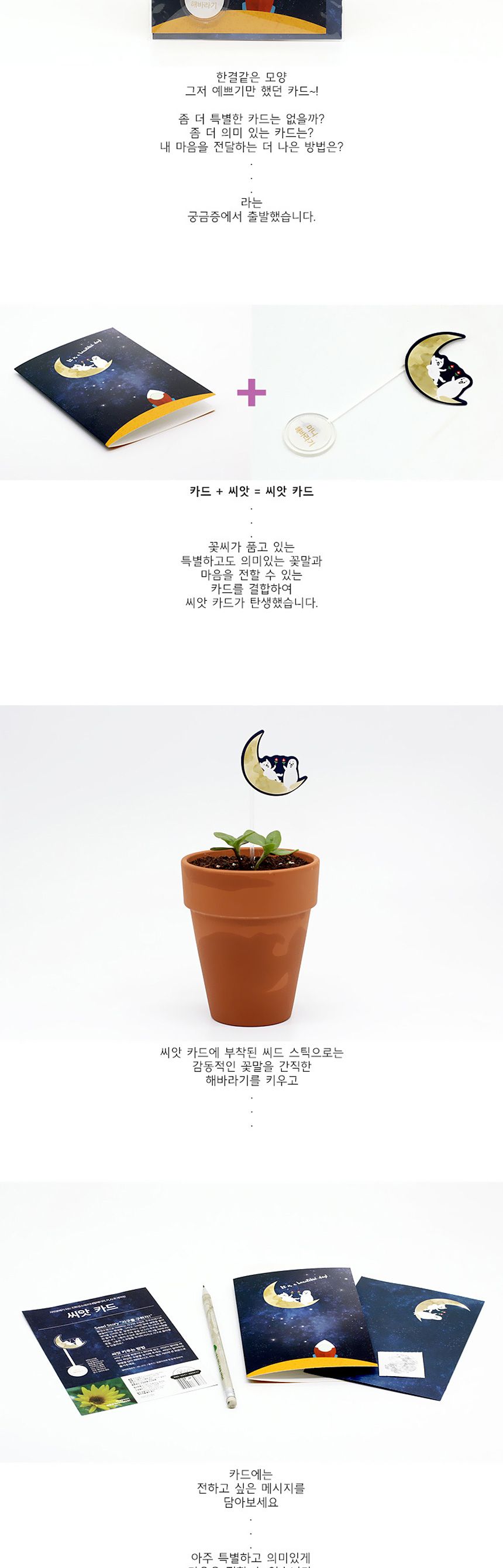 새싹키우기 관찰학습 우주여행 미니해바라기 씨앗카드/씨앗/씨앗선물/카드씨앗/아하그렇구나/관찰숙제/식물