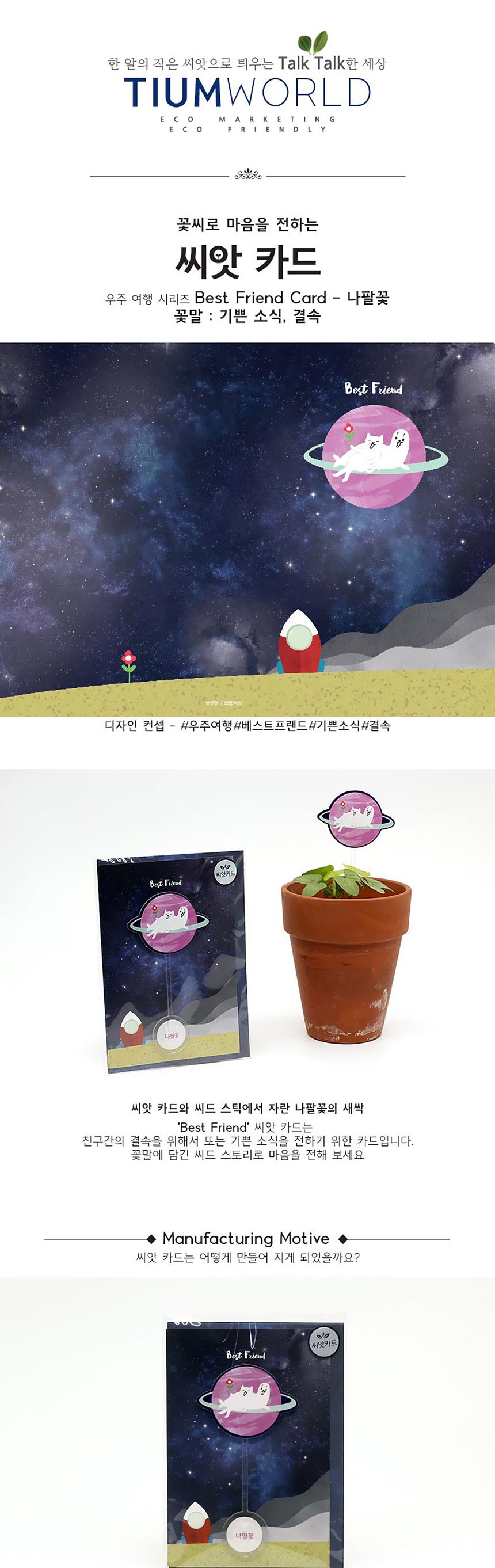 새싹키우기 관찰학습 우주여행 나팔꽃 씨앗카드/씨앗/씨앗선물/카드씨앗/아하그렇구나/관찰숙제/식물재배/D