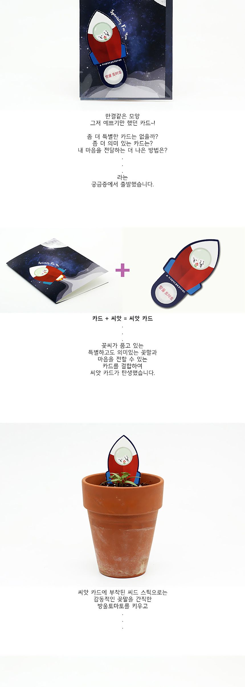 새싹키우기 관찰학습 우주여행 방울토마토 씨앗카드/씨앗/씨앗선물/카드씨앗/아하그렇구나/관찰숙제/식물재