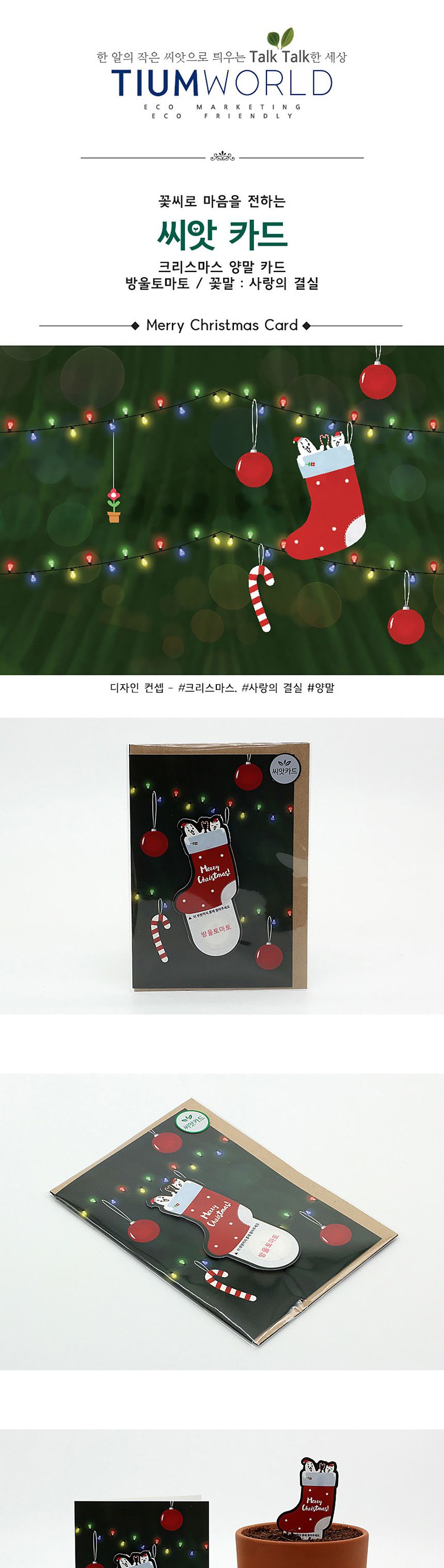 디자인 씨드스틱 선물 크리스마스 양말 씨앗카드/씨앗/씨앗선물/카드씨앗/아하그렇구나/관찰숙제/식물재배/