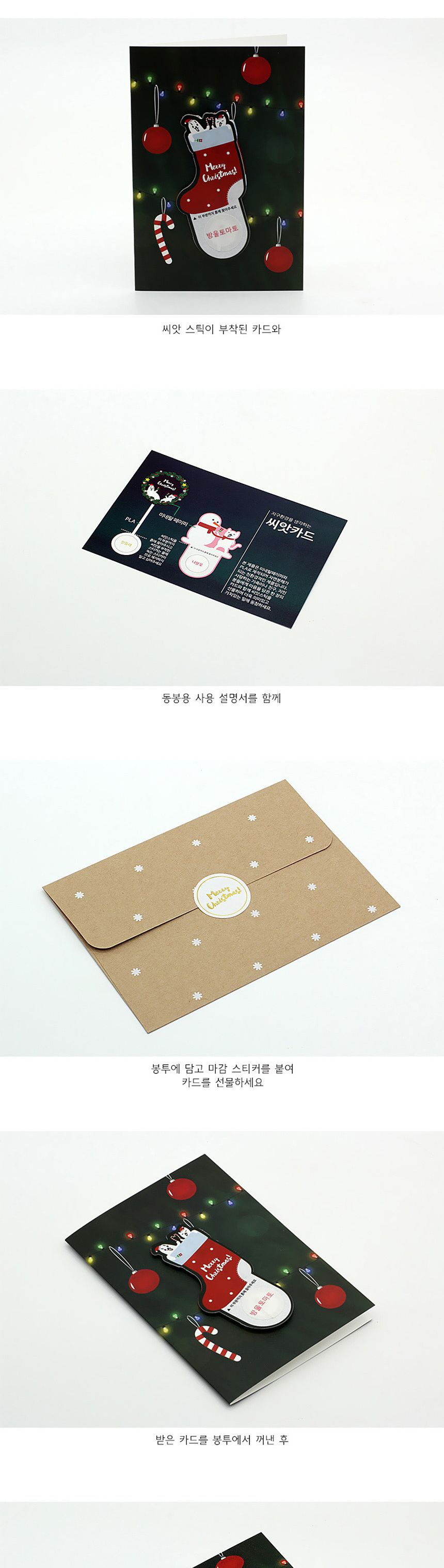 디자인 씨드스틱 선물 크리스마스 양말 씨앗카드/씨앗/씨앗선물/카드씨앗/아하그렇구나/관찰숙제/식물재배/