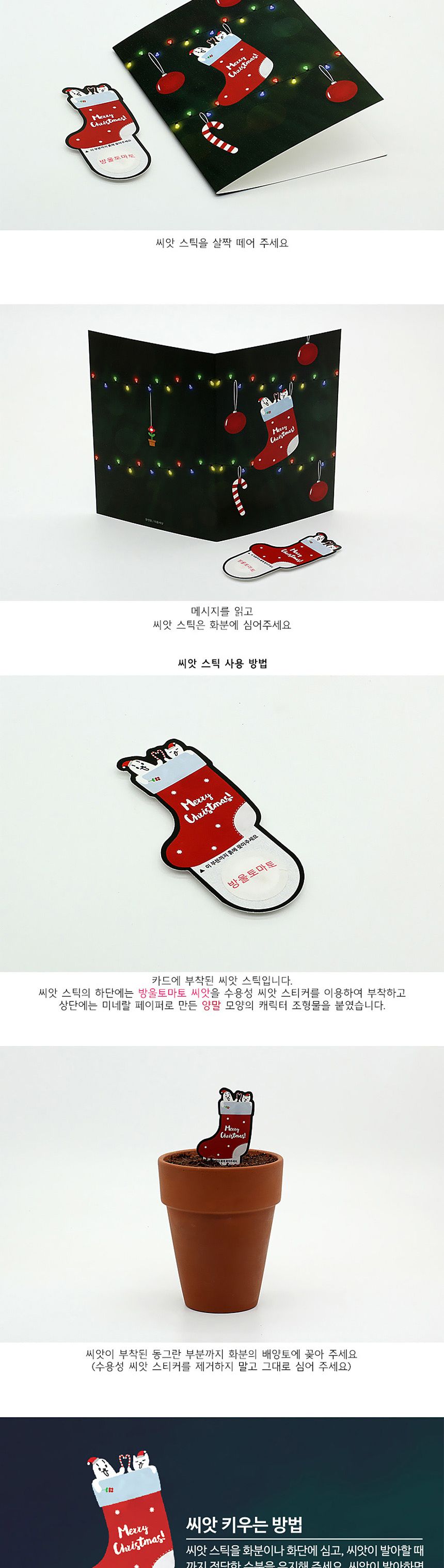 디자인 씨드스틱 선물 크리스마스 양말 씨앗카드/씨앗/씨앗선물/카드씨앗/아하그렇구나/관찰숙제/식물재배/