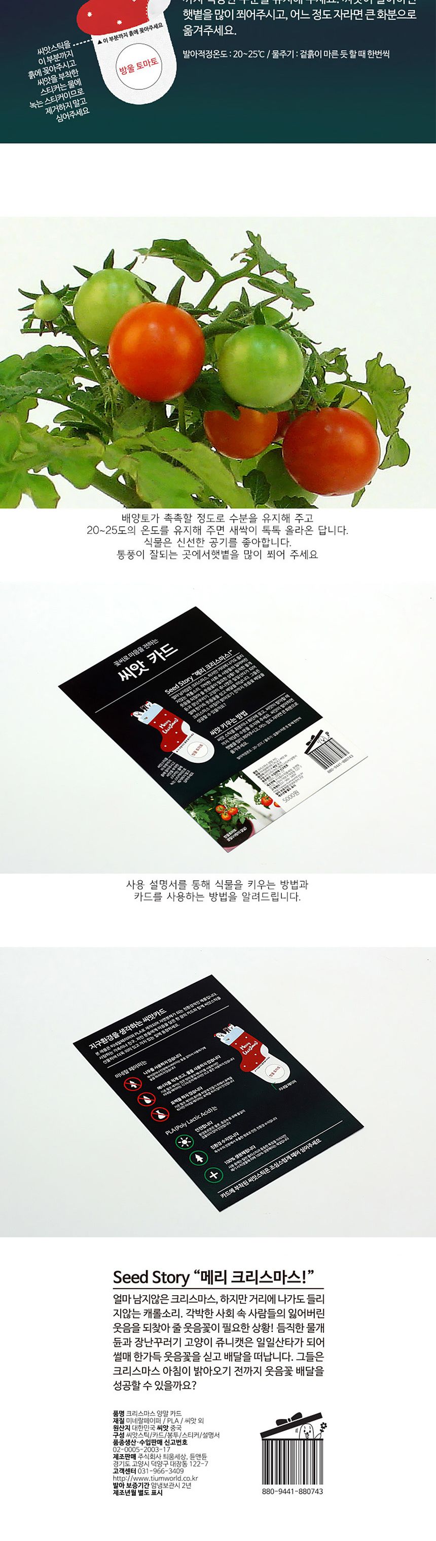 디자인 씨드스틱 선물 크리스마스 양말 씨앗카드/씨앗/씨앗선물/카드씨앗/아하그렇구나/관찰숙제/식물재배/