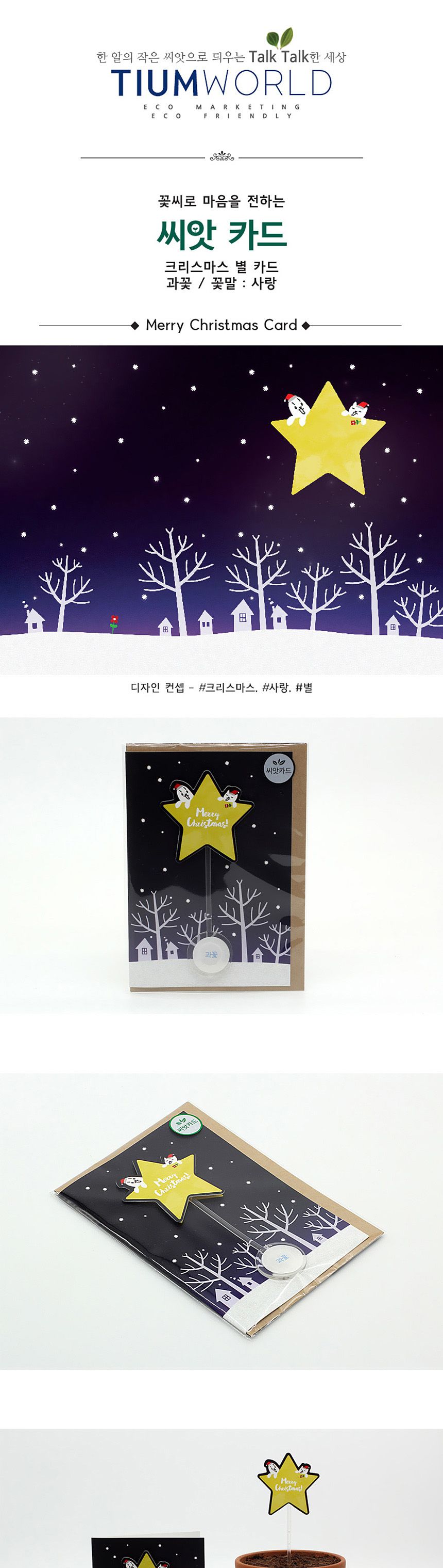 디자인 씨드스틱 선물 크리스마스 별 씨앗카드/씨앗/씨앗선물/카드씨앗/아하그렇구나/관찰숙제/식물재배/DI