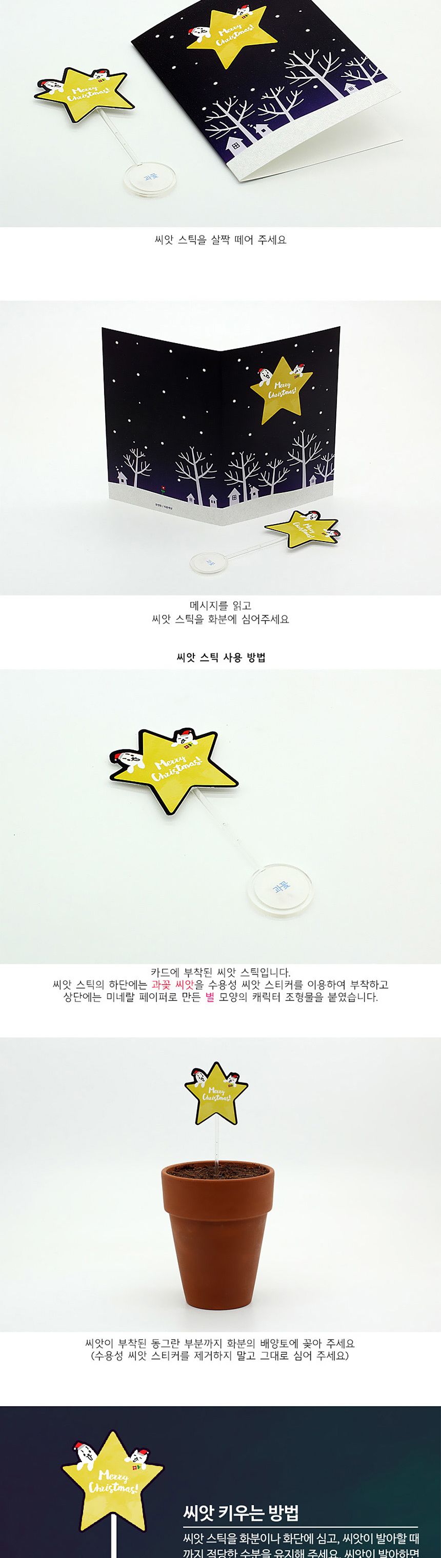 디자인 씨드스틱 선물 크리스마스 별 씨앗카드/씨앗/씨앗선물/카드씨앗/아하그렇구나/관찰숙제/식물재배/DI