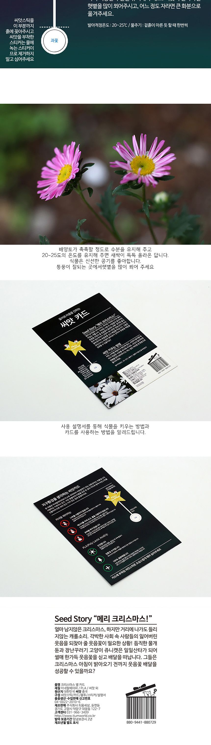 디자인 씨드스틱 선물 크리스마스 별 씨앗카드/씨앗/씨앗선물/카드씨앗/아하그렇구나/관찰숙제/식물재배/DI