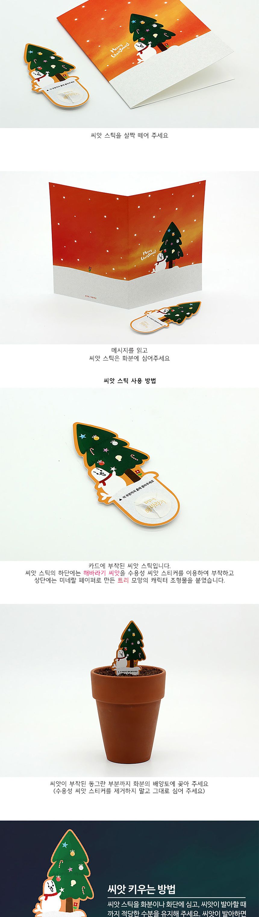디자인 씨드스틱 선물 크리스마스 트리 씨앗카드/씨앗/씨앗선물/카드씨앗/아하그렇구나/관찰숙제/식물재배/