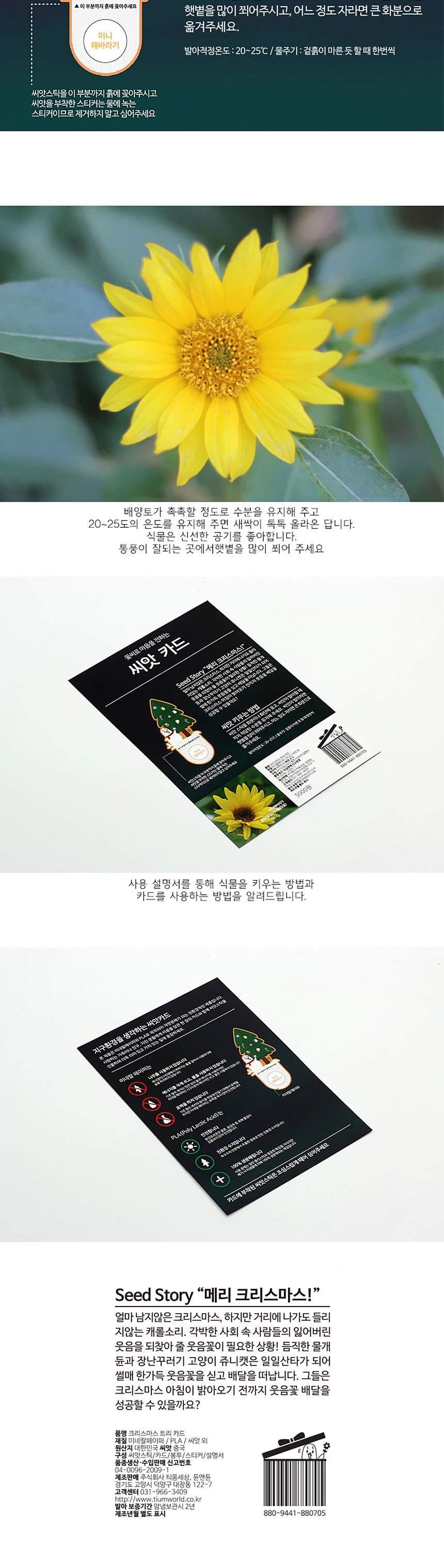 디자인 씨드스틱 선물 크리스마스 트리 씨앗카드/씨앗/씨앗선물/카드씨앗/아하그렇구나/관찰숙제/식물재배/