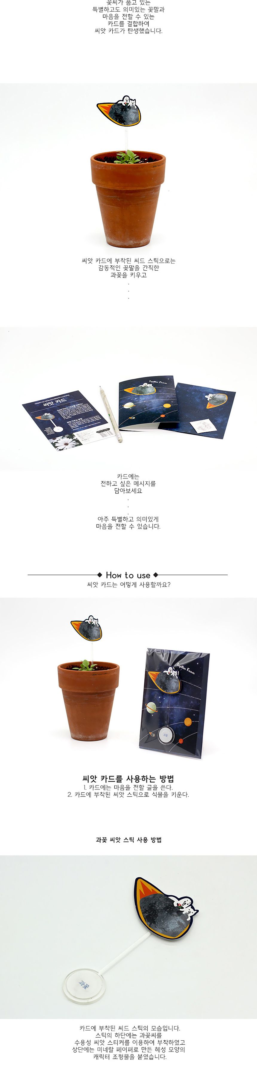 새싹키우기 관찰학습 식물 우주여행 과꽃 씨앗카드/씨앗/씨앗선물/카드씨앗/아하그렇구나/관찰숙제/식물재