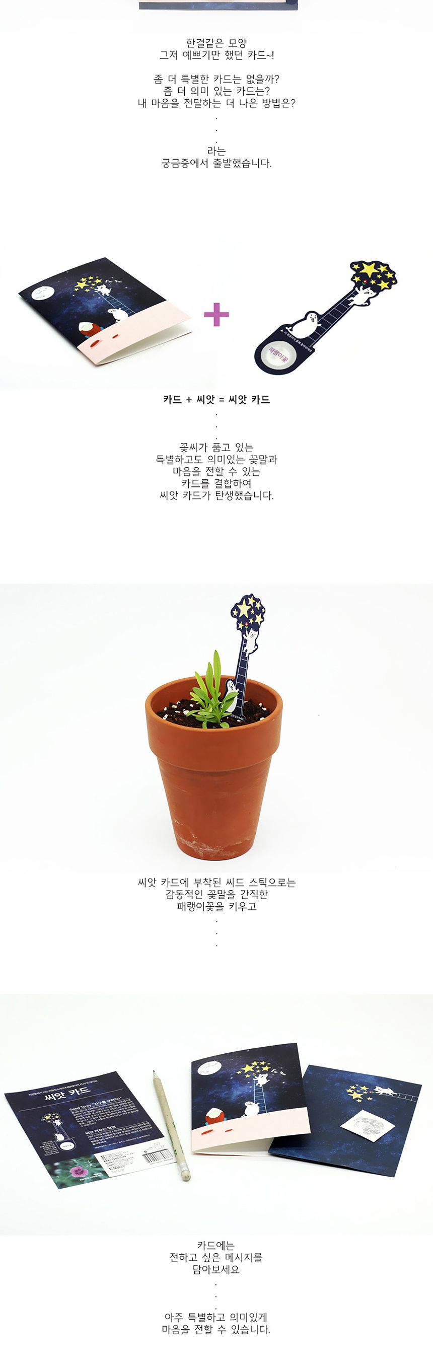 새싹키우기 관찰학습 우주여행 패랭이꽃 씨앗카드/씨앗/씨앗선물/카드씨앗/아하그렇구나/관찰숙제/식물재배