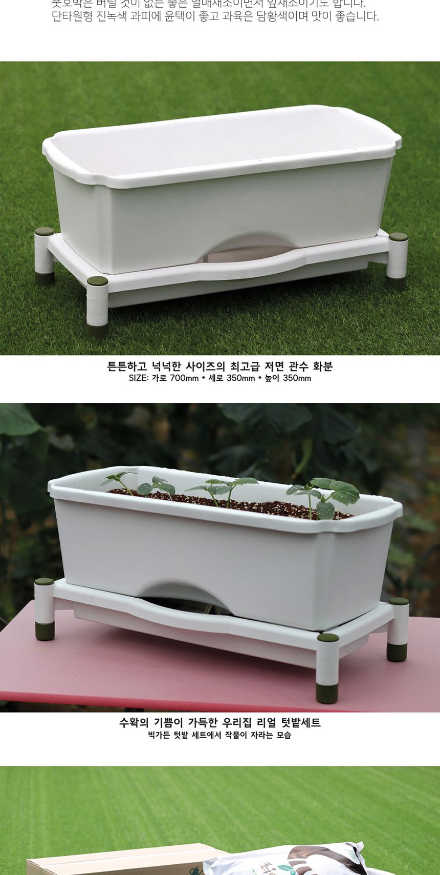 베란다 텃밭 도시농부 저면관수 화분 빅가든 풋호박/채소밭/텃밭/화분/재배/미니정원/정원/아파트/베란다/