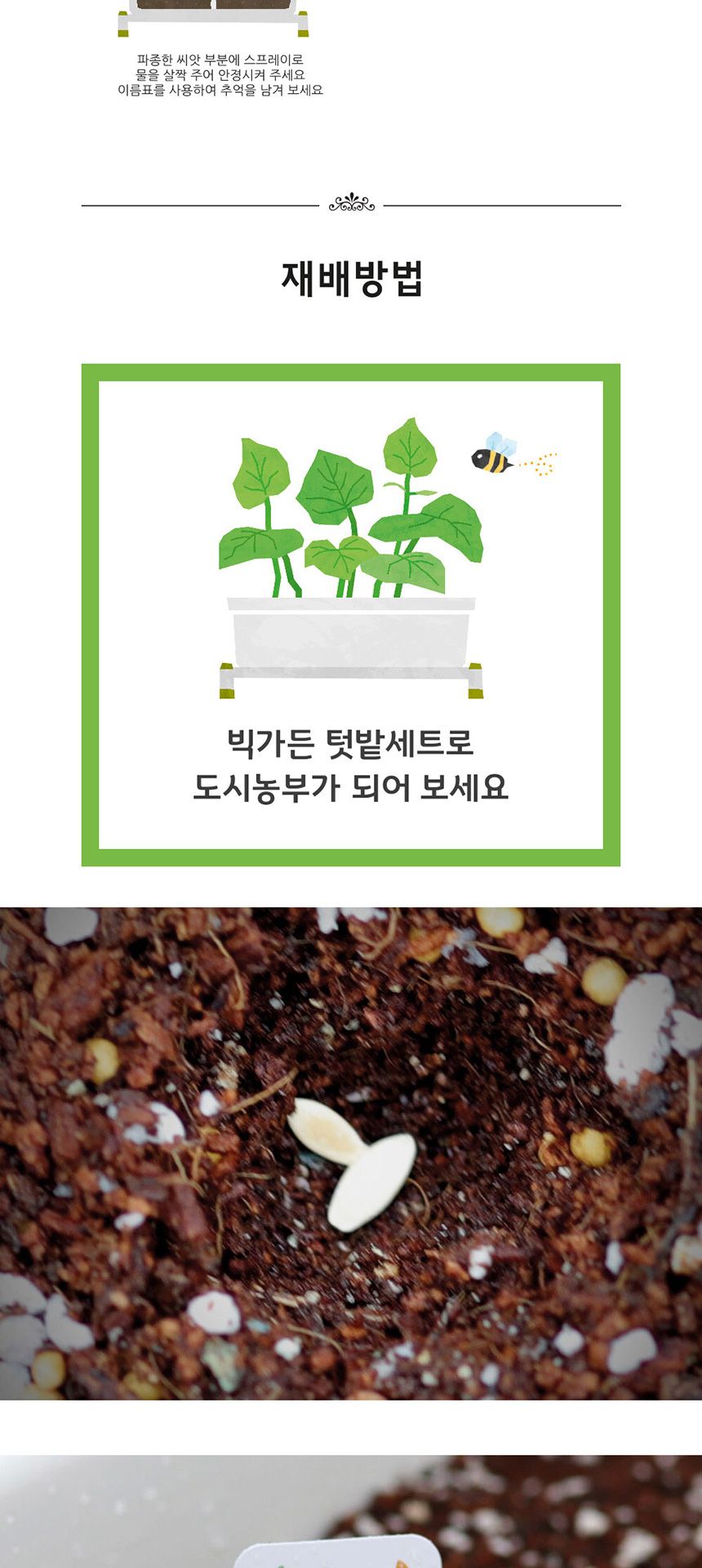 베란다 텃밭 도시농부 저면관수 화분 빅가든 미니오이/채소밭/텃밭/화분/재배/미니정원/정원/아파트/베란다