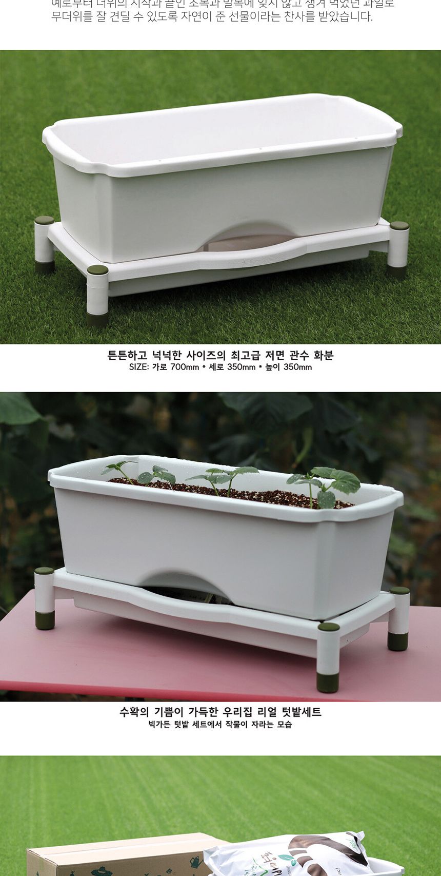 베란다 텃밭 도시농부 저면관수 화분 빅가든 미니수박/채소밭/텃밭/화분/재배/미니정원/정원/아파트/베란다