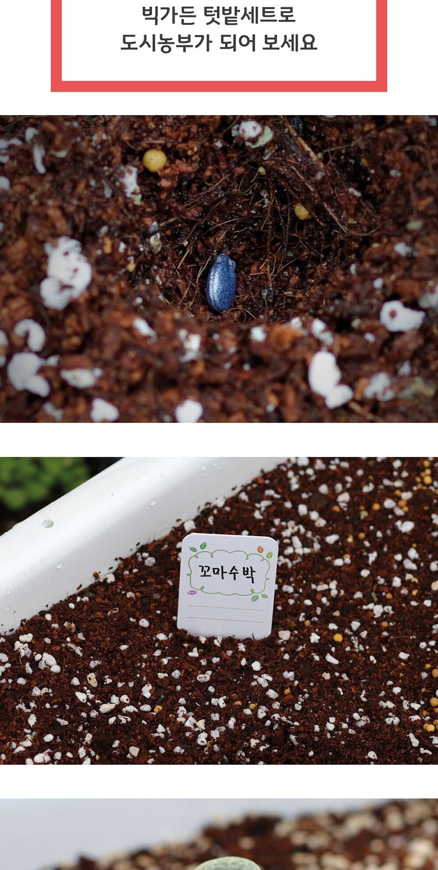 베란다 텃밭 도시농부 저면관수 화분 빅가든 미니수박/채소밭/텃밭/화분/재배/미니정원/정원/아파트/베란다