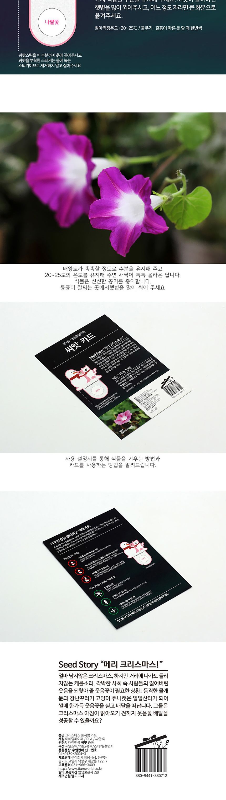 디자인 씨드스틱 선물 크리스마스 눈사람 씨앗카드/씨앗/씨앗선물/카드씨앗/아하그렇구나/관찰숙제/식물재