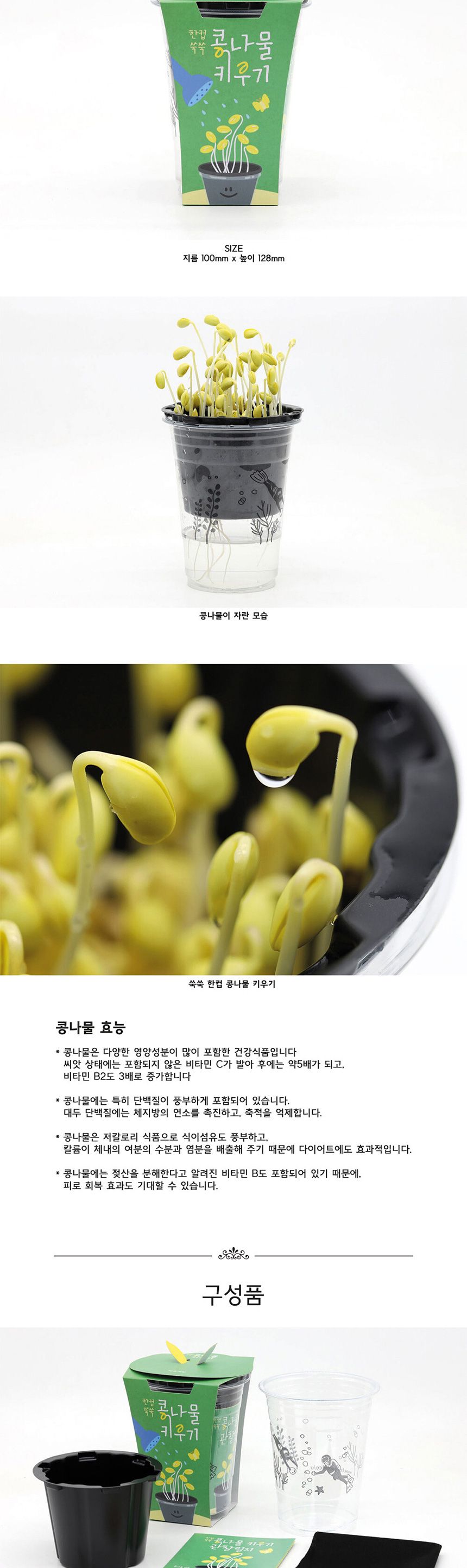 새싹키트 시루 관찰일지 재배 한컵쑥쑥 콩나물키우기/채소밭/텃밭/화분/재배/미니정원/정원/아파트/베란다/