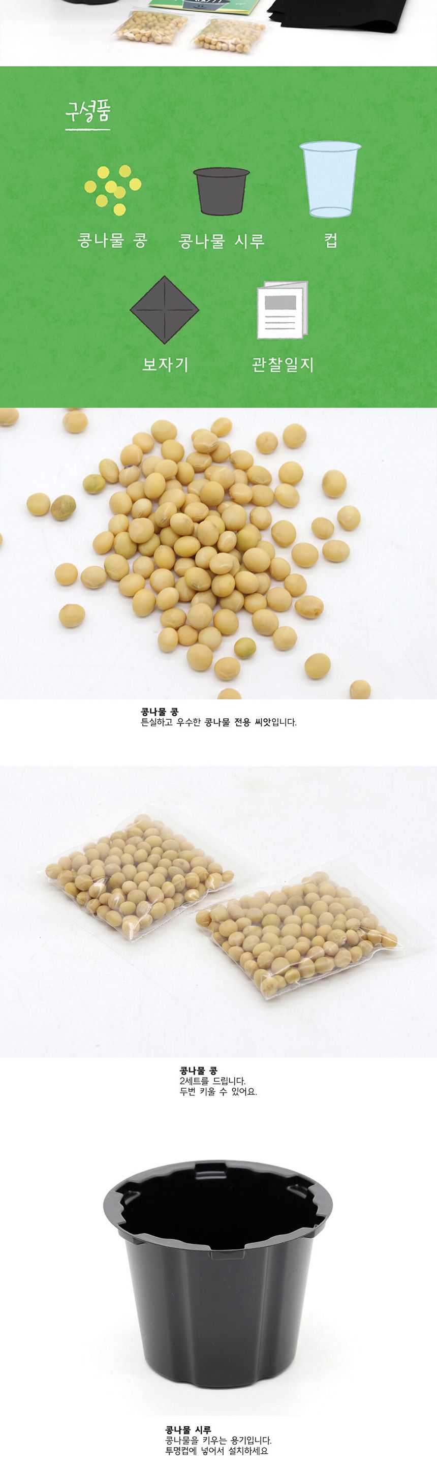 새싹키트 시루 관찰일지 재배 한컵쑥쑥 콩나물키우기/채소밭/텃밭/화분/재배/미니정원/정원/아파트/베란다/