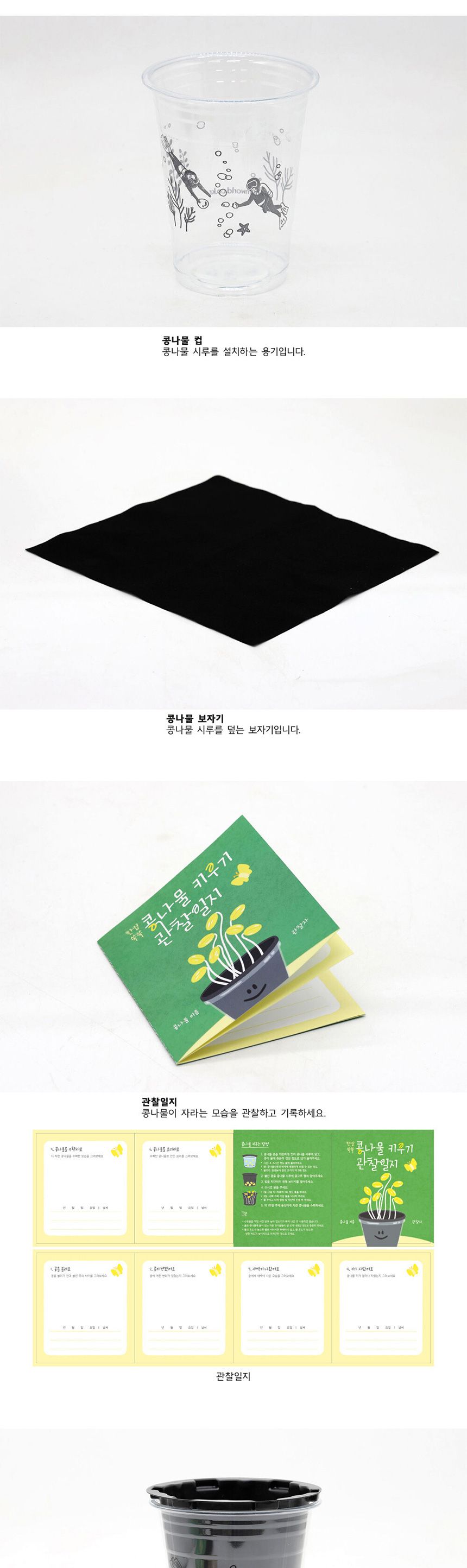 새싹키트 시루 관찰일지 재배 한컵쑥쑥 콩나물키우기/채소밭/텃밭/화분/재배/미니정원/정원/아파트/베란다/