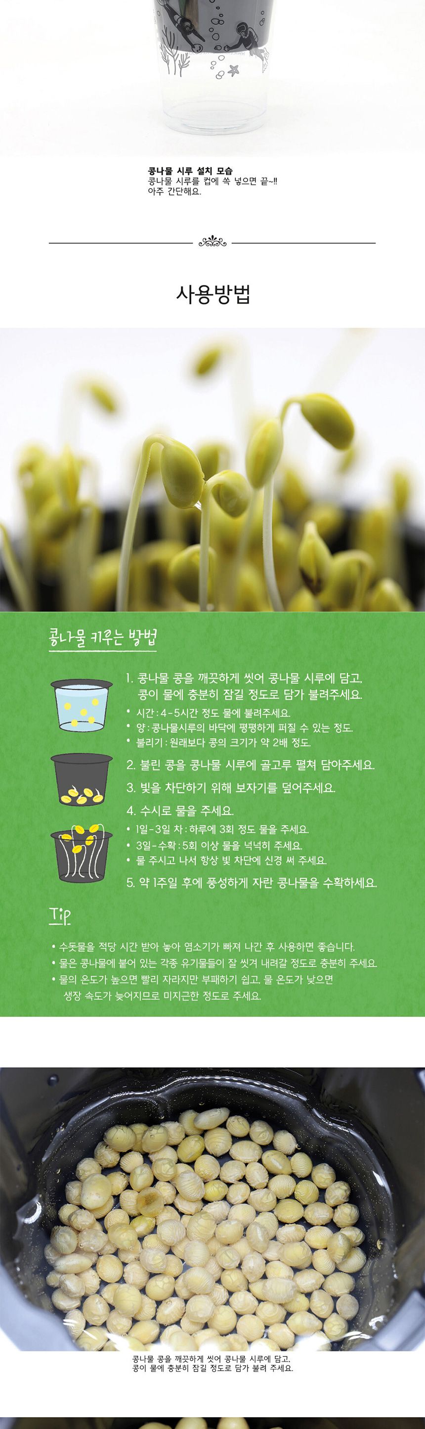 새싹키트 시루 관찰일지 재배 한컵쑥쑥 콩나물키우기/채소밭/텃밭/화분/재배/미니정원/정원/아파트/베란다/