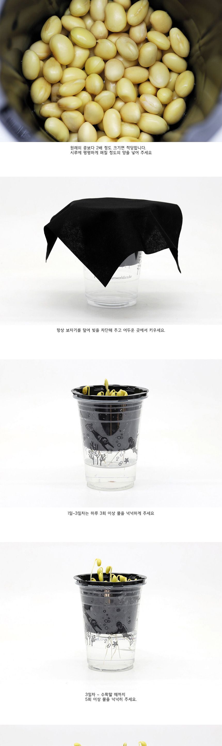 새싹키트 시루 관찰일지 재배 한컵쑥쑥 콩나물키우기/채소밭/텃밭/화분/재배/미니정원/정원/아파트/베란다/