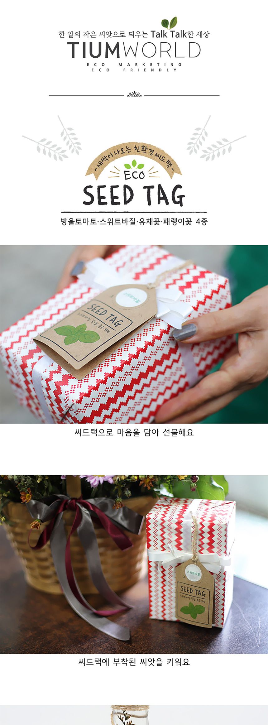 아이디어 선물 포장 씨앗 식물키우기 씨드택 4종 세트/씨앗/씨앗세트/씨드세트/씨드카트/씨드택/식물키우기