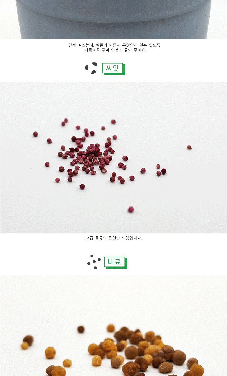 텃밭 화분 DIY 식집사 셰프가든 쑥갓 키우기/식물키우기/식물재배기/DIY키트/홈가드닝/반려식물/실내식물/