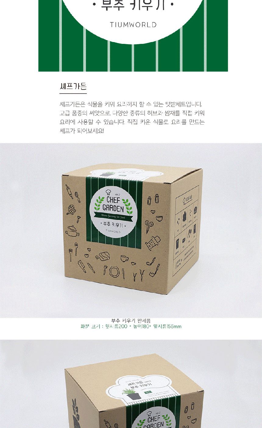 텃밭 화분 DIY 식집사 셰프가든 부추 키우기/식물키우기/식물재배기/DIY키트/홈가드닝/반려식물/실내식물/