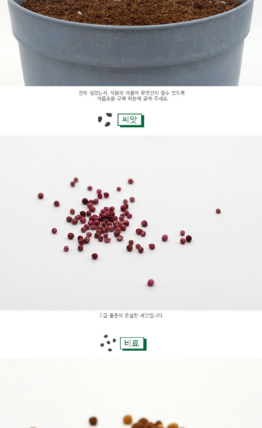 텃밭 화분 DIY 식집사 셰프가든 부추 키우기/식물키우기/식물재배기/DIY키트/홈가드닝/반려식물/실내식물/