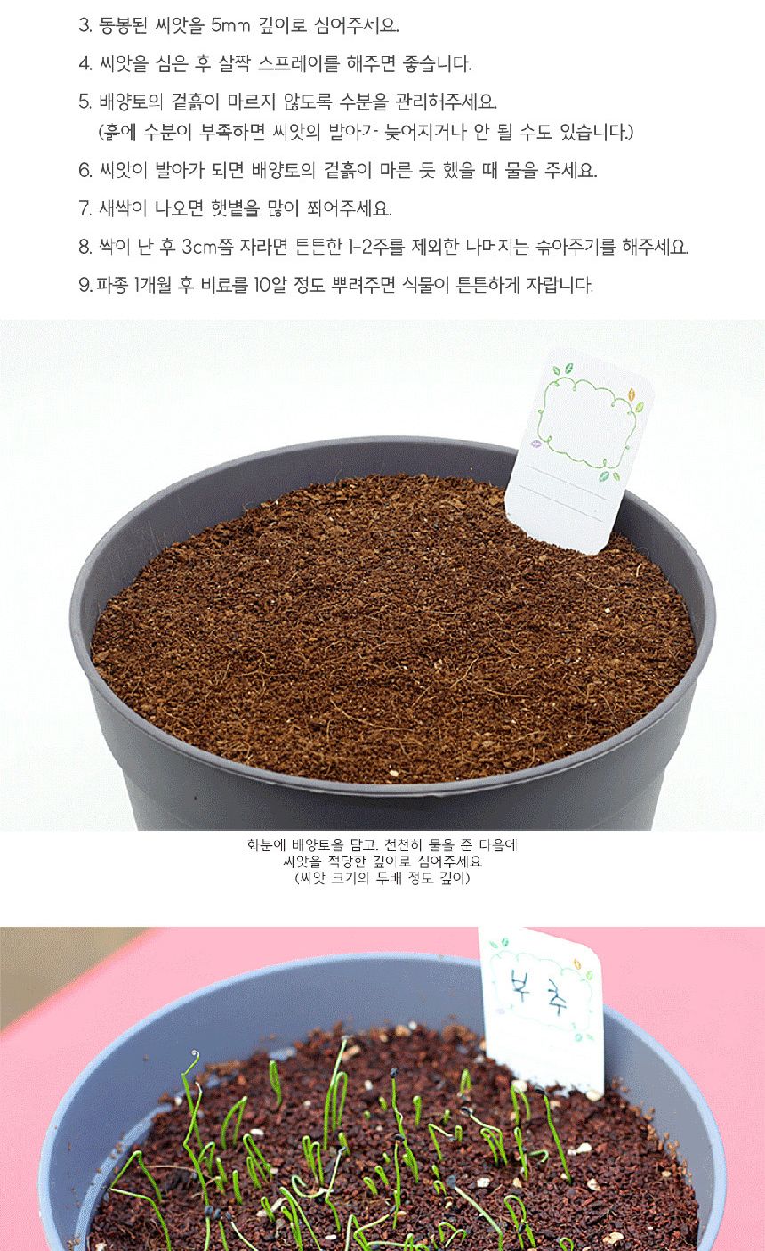 텃밭 화분 DIY 식집사 셰프가든 부추 키우기/식물키우기/식물재배기/DIY키트/홈가드닝/반려식물/실내식물/