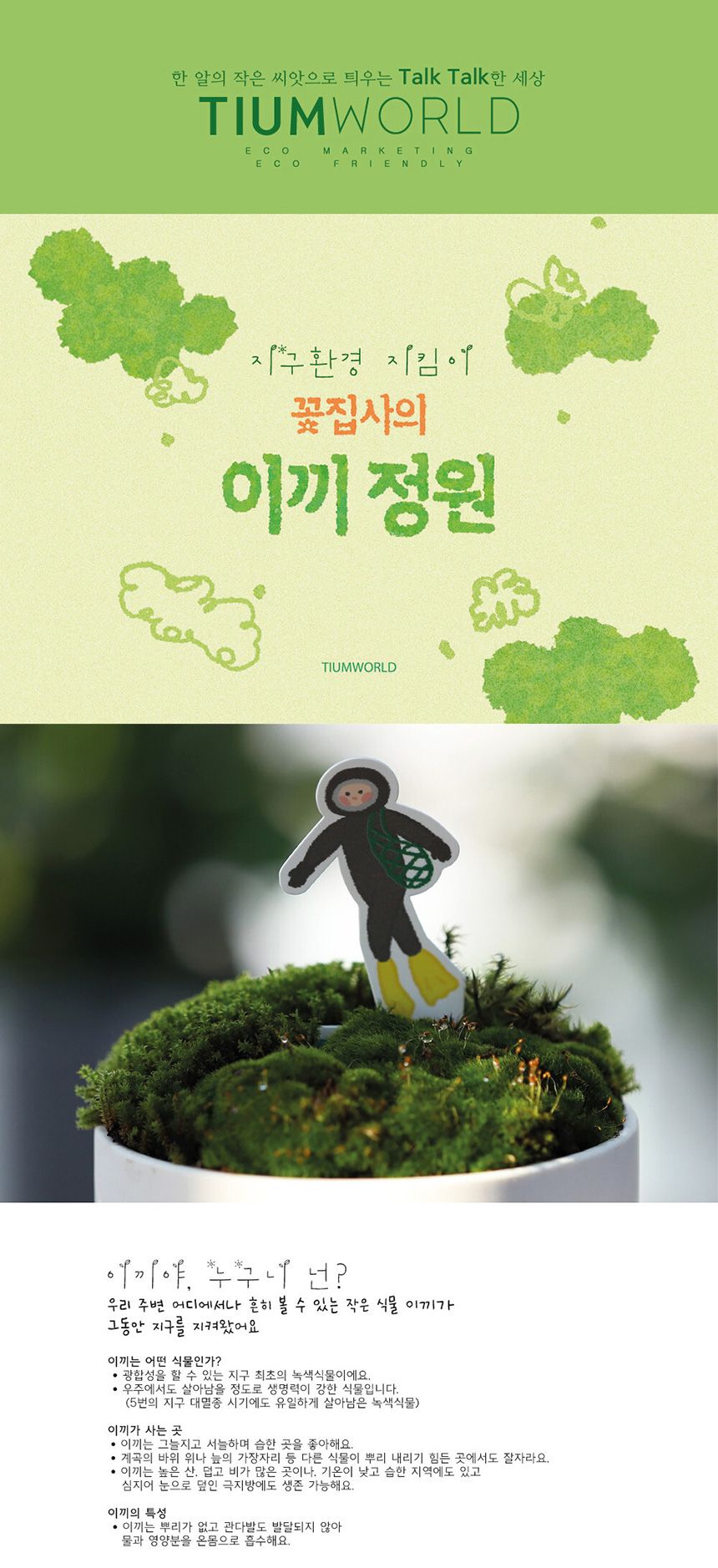 공기정화 가습 양지이끼 테라리움 꽃집사의 이끼정원/이끼/이끼기르기/이끼키우기/식물키우기/식물재배기/D