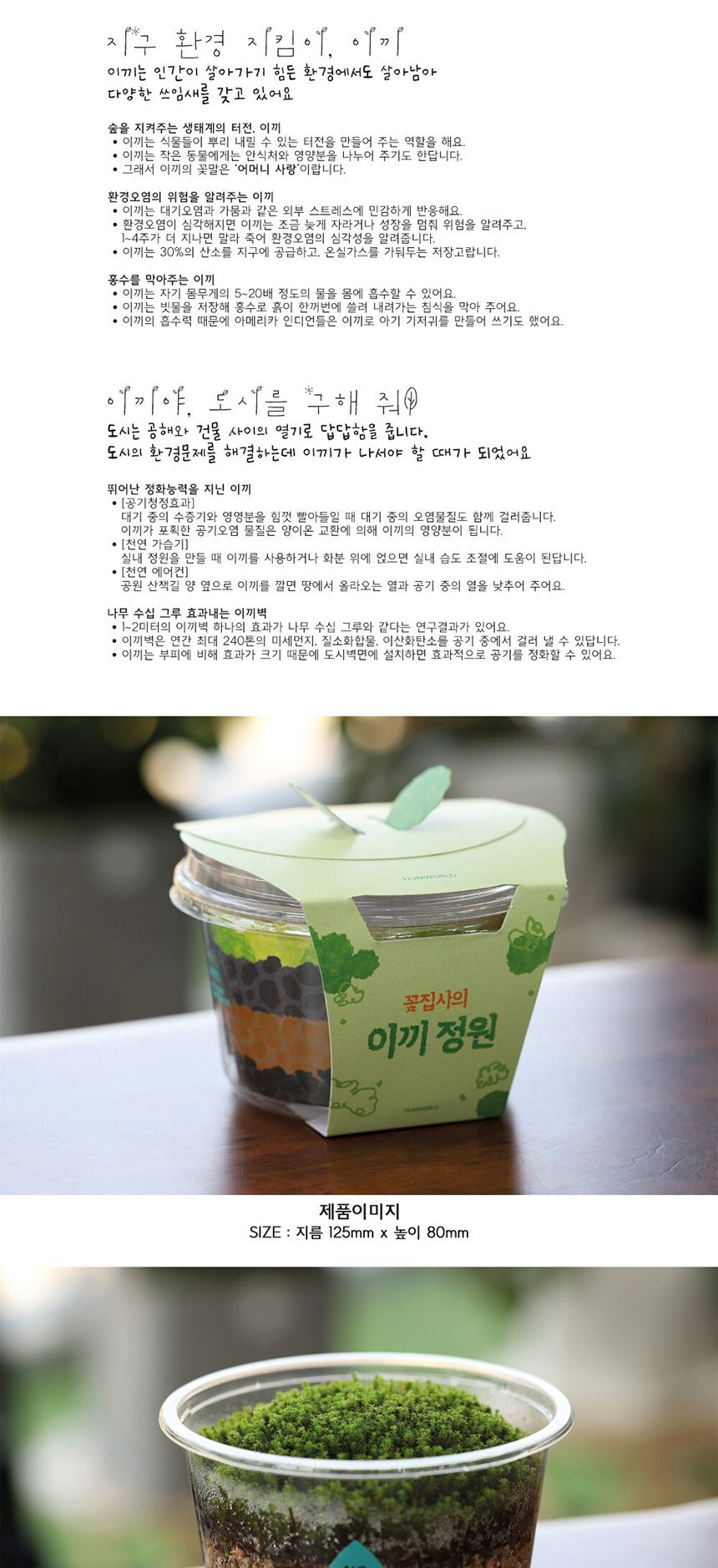 공기정화 가습 양지이끼 테라리움 꽃집사의 이끼정원/이끼/이끼기르기/이끼키우기/식물키우기/식물재배기/D