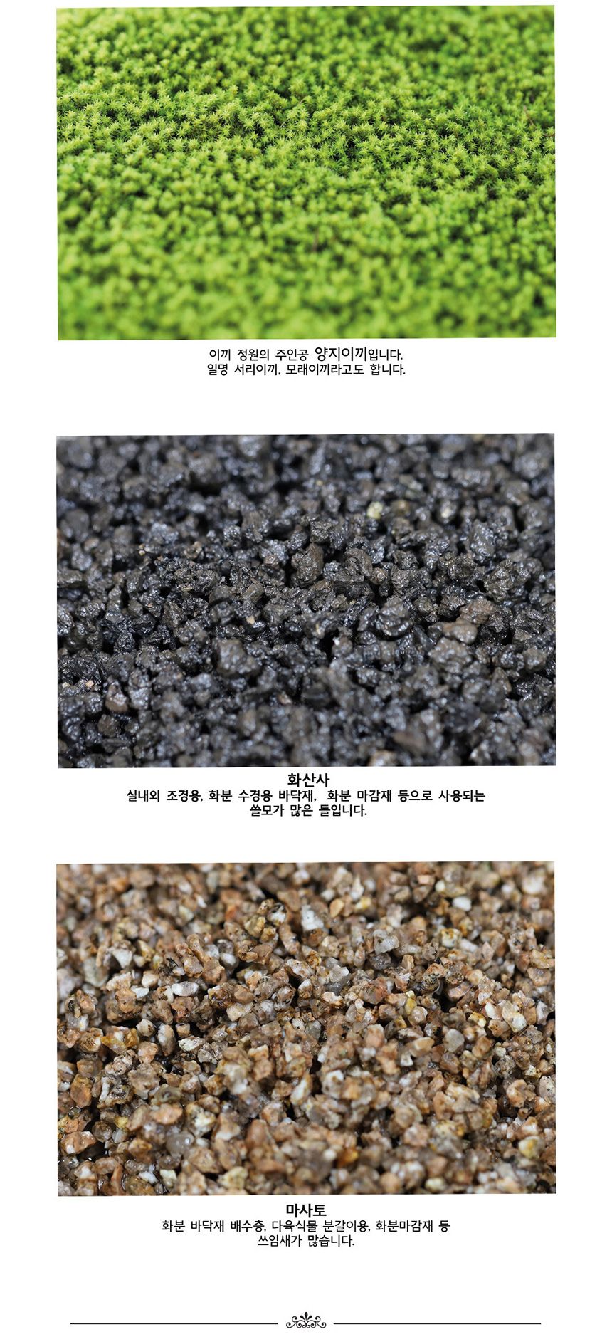 공기정화 가습 양지이끼 테라리움 꽃집사의 이끼정원/이끼/이끼기르기/이끼키우기/식물키우기/식물재배기/D