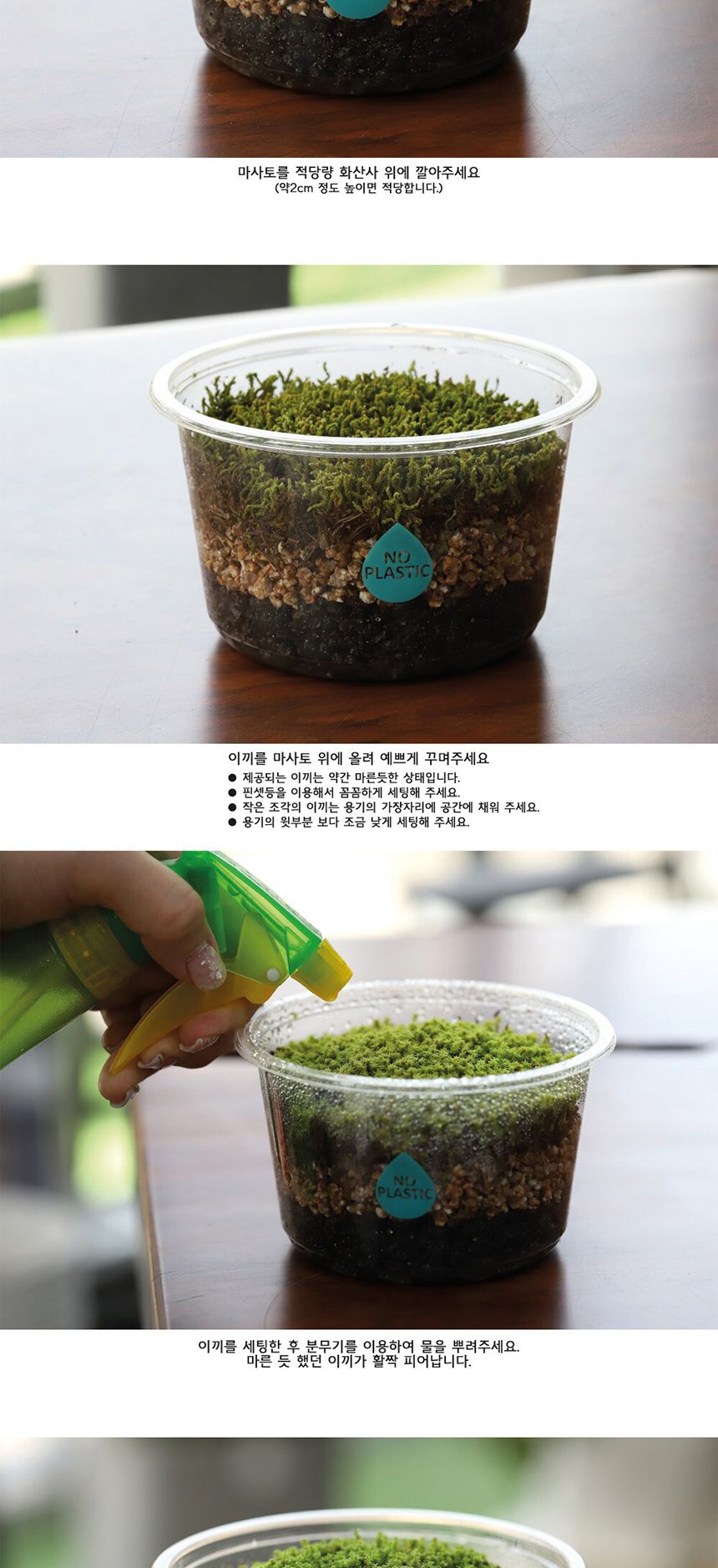 공기정화 가습 양지이끼 테라리움 꽃집사의 이끼정원/이끼/이끼기르기/이끼키우기/식물키우기/식물재배기/D