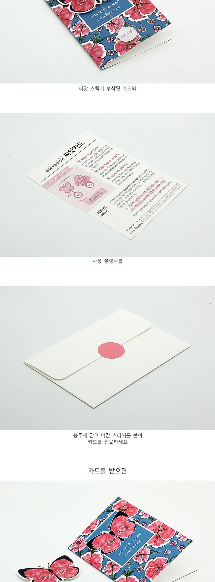 꽃씨앗 씨드스틱 마리몬드 나비 씨앗카드 패랭이꽃/식물카드/씨앗카드/꽃씨/꽃씨앗/식물선물/씨앗선물/어린