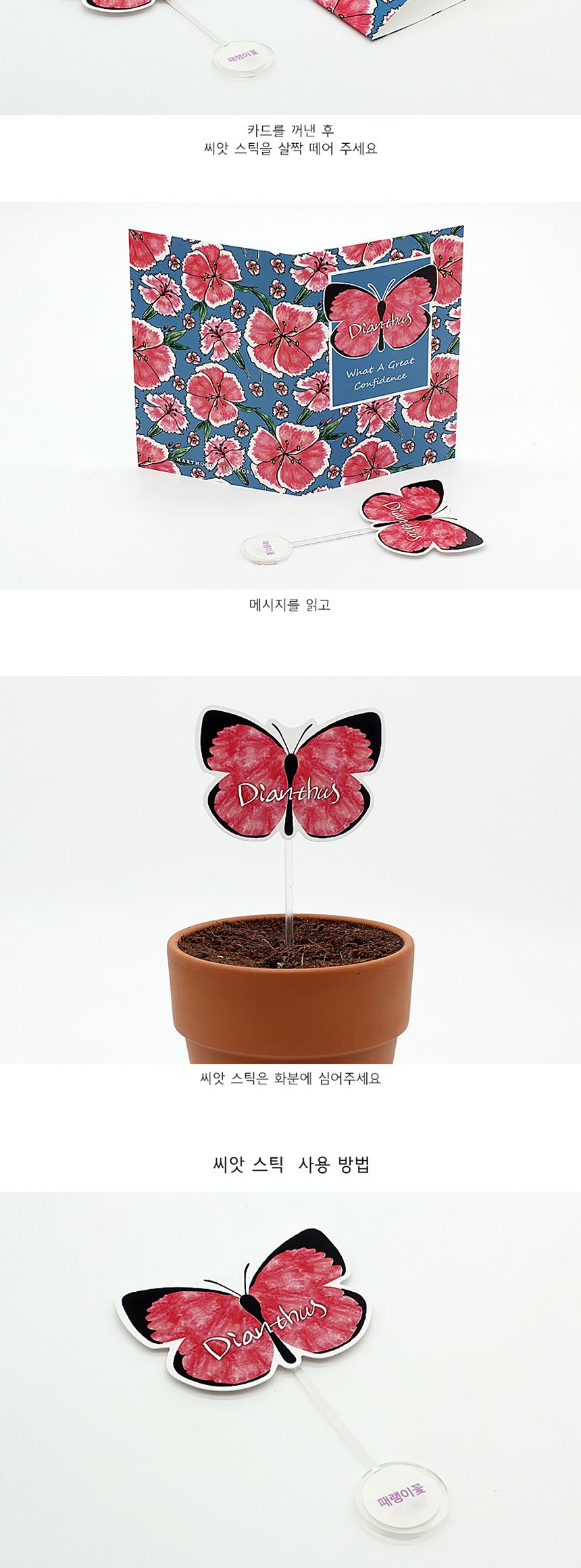꽃씨앗 씨드스틱 마리몬드 나비 씨앗카드 패랭이꽃/식물카드/씨앗카드/꽃씨/꽃씨앗/식물선물/씨앗선물/어린