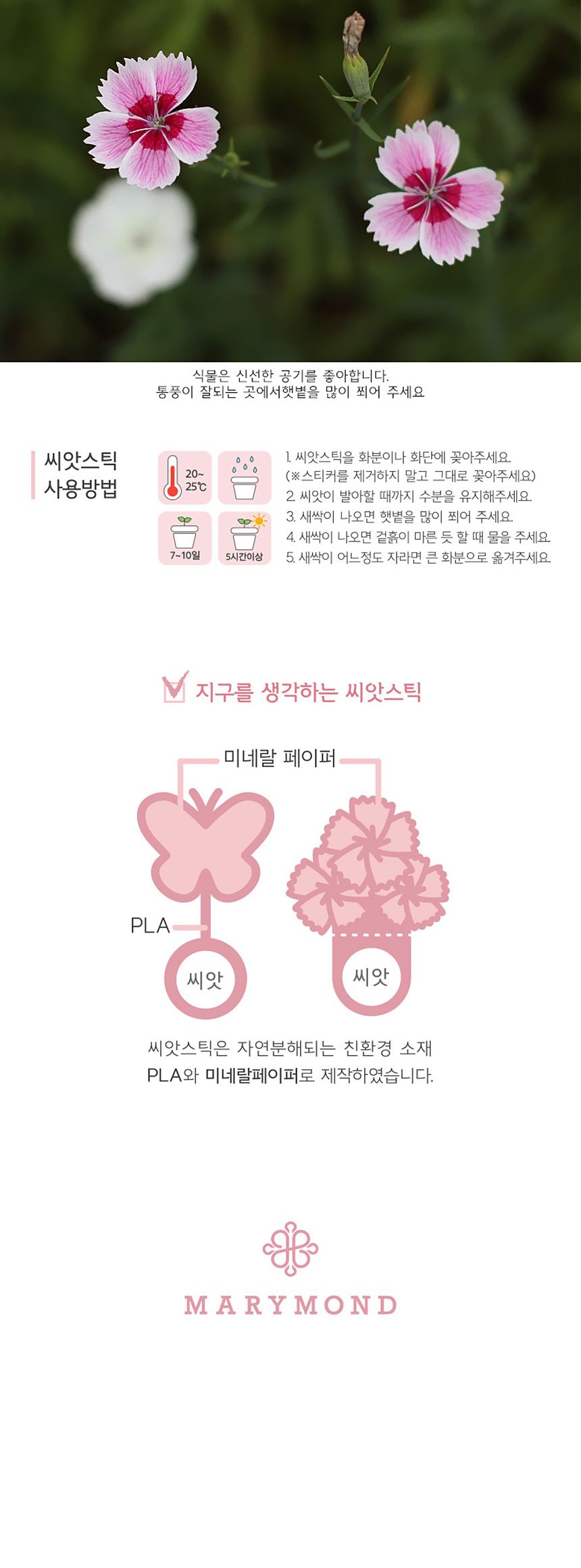 꽃씨앗 씨드스틱 마리몬드 나비 씨앗카드 패랭이꽃/식물카드/씨앗카드/꽃씨/꽃씨앗/식물선물/씨앗선물/어린