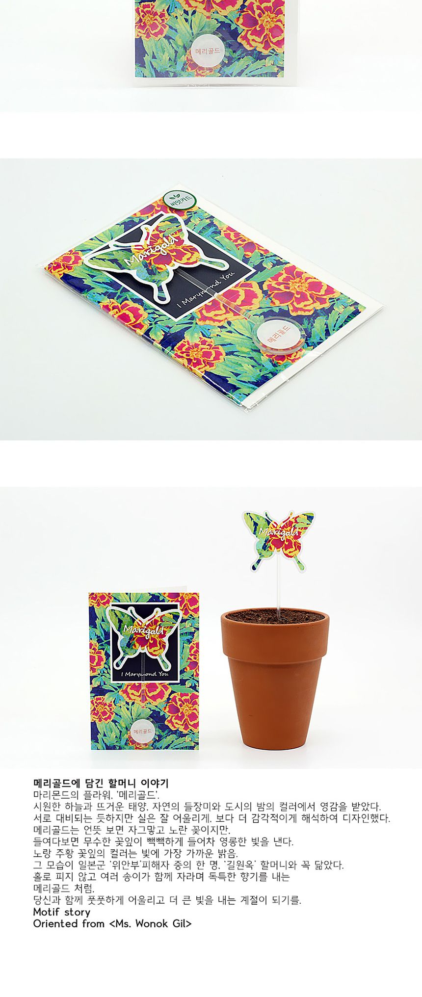 꽃씨앗 씨드스틱 마리몬드 나비 씨앗카드 메리골드/식물카드/씨앗카드/꽃씨/꽃씨앗/식물선물/씨앗선물/어린