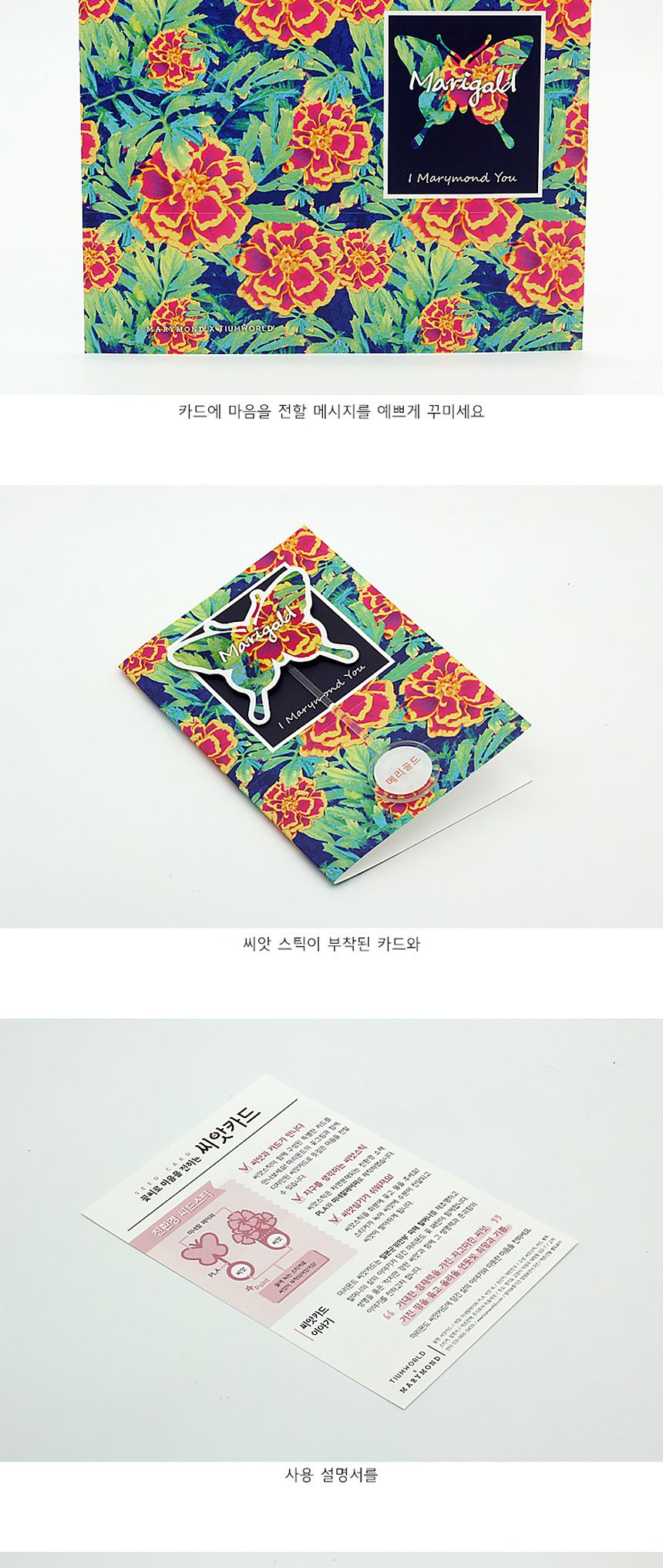 꽃씨앗 씨드스틱 마리몬드 나비 씨앗카드 메리골드/식물카드/씨앗카드/꽃씨/꽃씨앗/식물선물/씨앗선물/어린