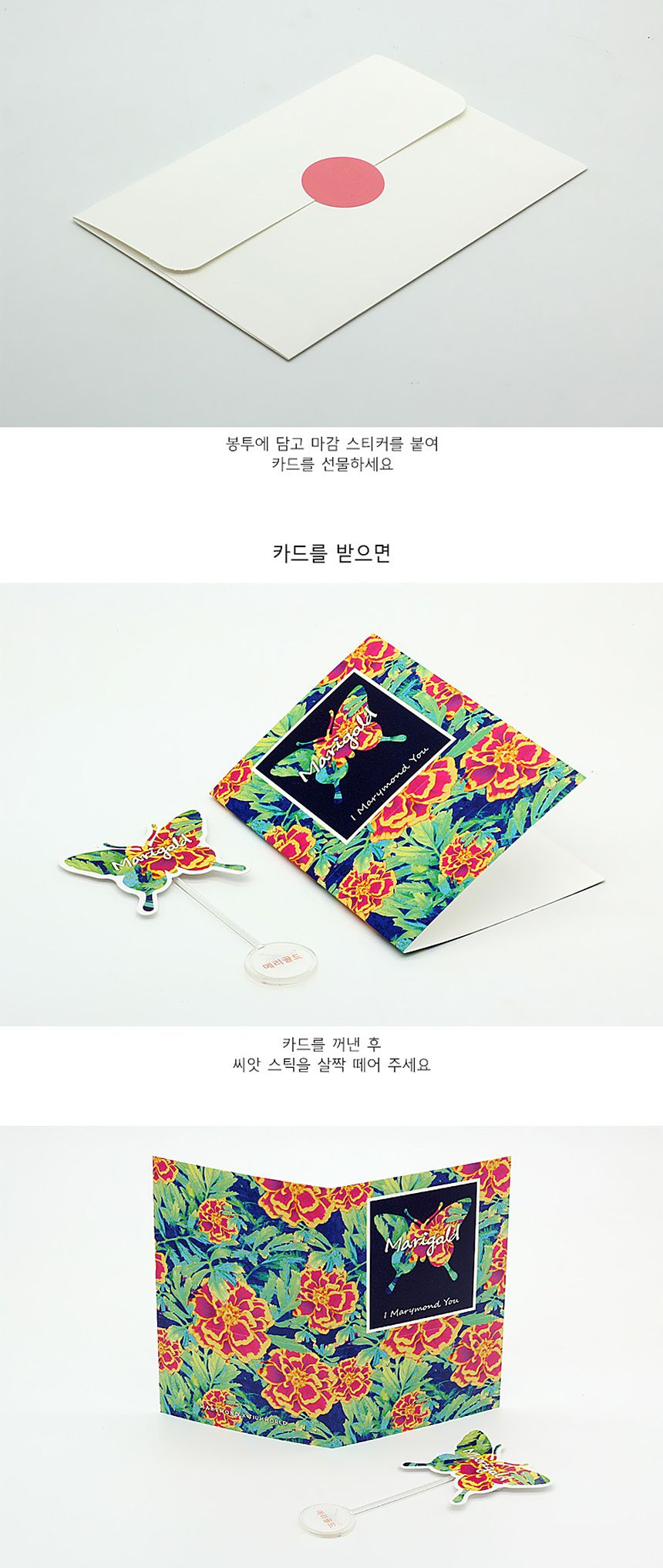 꽃씨앗 씨드스틱 마리몬드 나비 씨앗카드 메리골드/식물카드/씨앗카드/꽃씨/꽃씨앗/식물선물/씨앗선물/어린