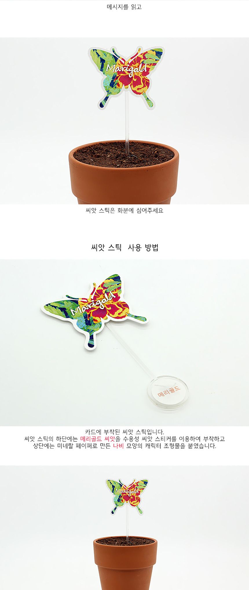 꽃씨앗 씨드스틱 마리몬드 나비 씨앗카드 메리골드/식물카드/씨앗카드/꽃씨/꽃씨앗/식물선물/씨앗선물/어린
