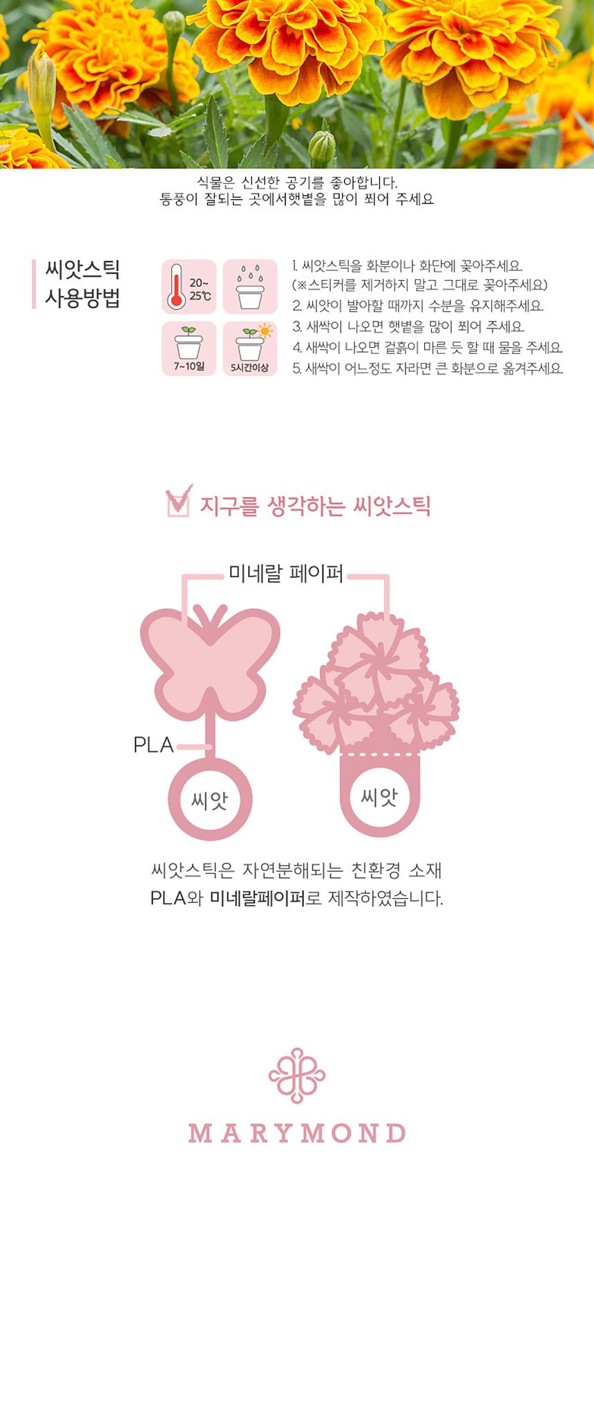 꽃씨앗 씨드스틱 마리몬드 나비 씨앗카드 메리골드/식물카드/씨앗카드/꽃씨/꽃씨앗/식물선물/씨앗선물/어린