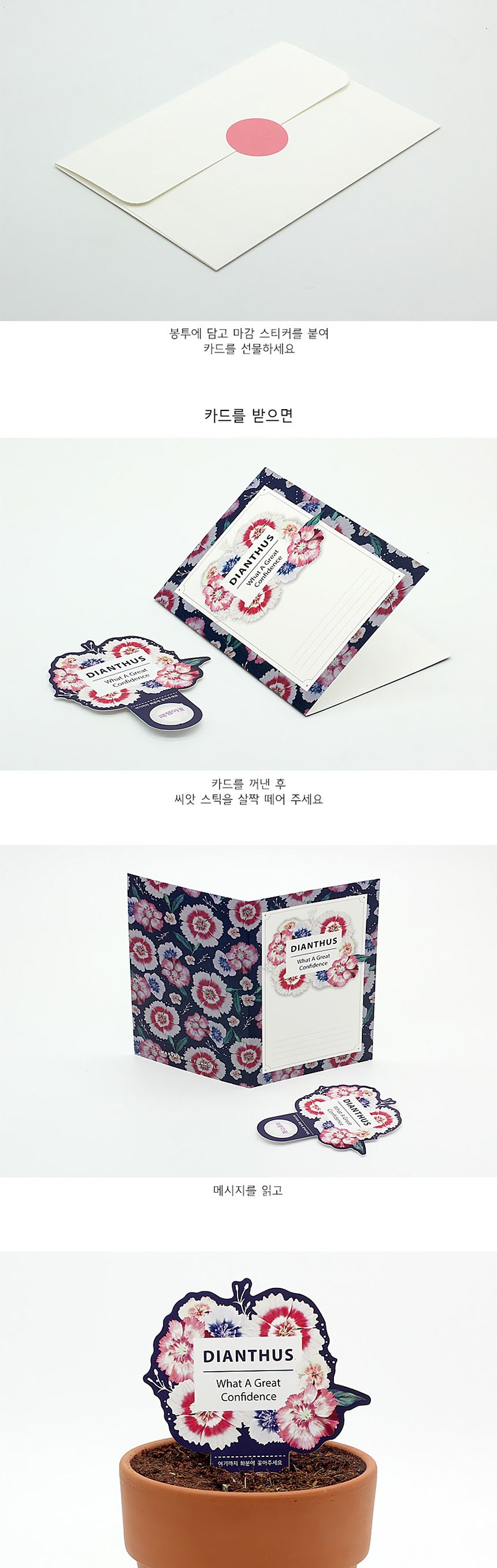 꽃씨앗 씨드스틱 마리몬드 플라워 씨앗카드 패랭이꽃/식물카드/씨앗카드/꽃씨/꽃씨앗/식물선물/씨앗선물/어