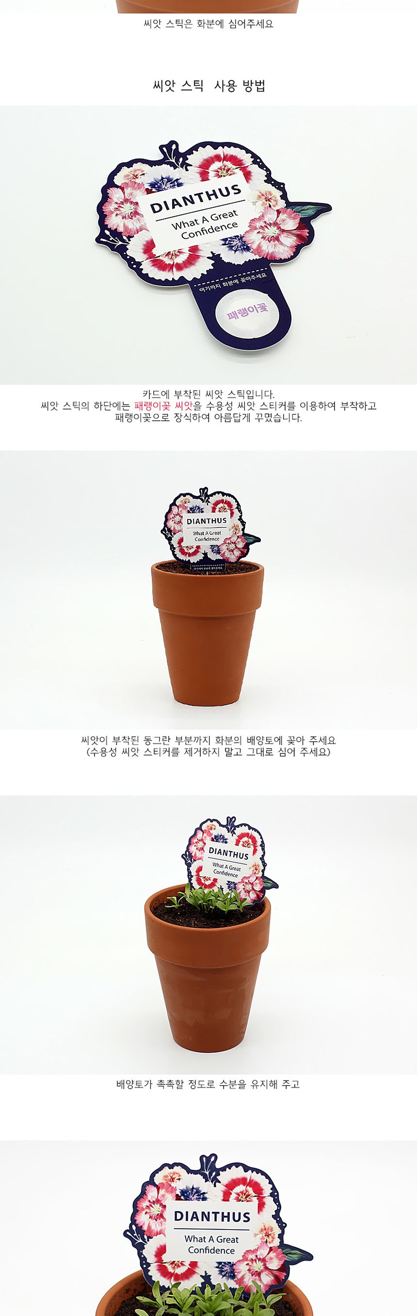 꽃씨앗 씨드스틱 마리몬드 플라워 씨앗카드 패랭이꽃/식물카드/씨앗카드/꽃씨/꽃씨앗/식물선물/씨앗선물/어