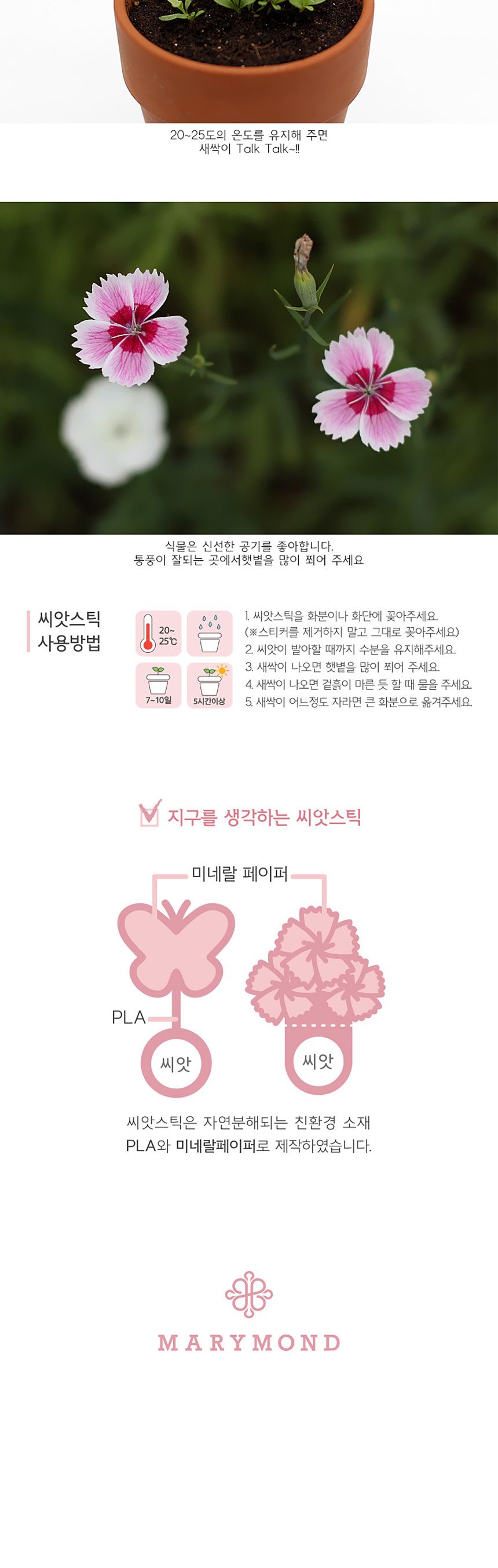 꽃씨앗 씨드스틱 마리몬드 플라워 씨앗카드 패랭이꽃/식물카드/씨앗카드/꽃씨/꽃씨앗/식물선물/씨앗선물/어