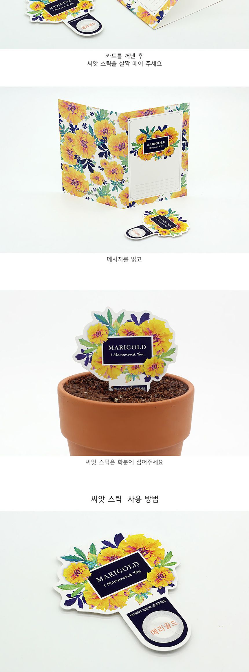꽃씨앗 씨드스틱 마리몬드 플라워 씨앗카드 메리골드/식물카드/씨앗카드/꽃씨/꽃씨앗/식물선물/씨앗선물/어