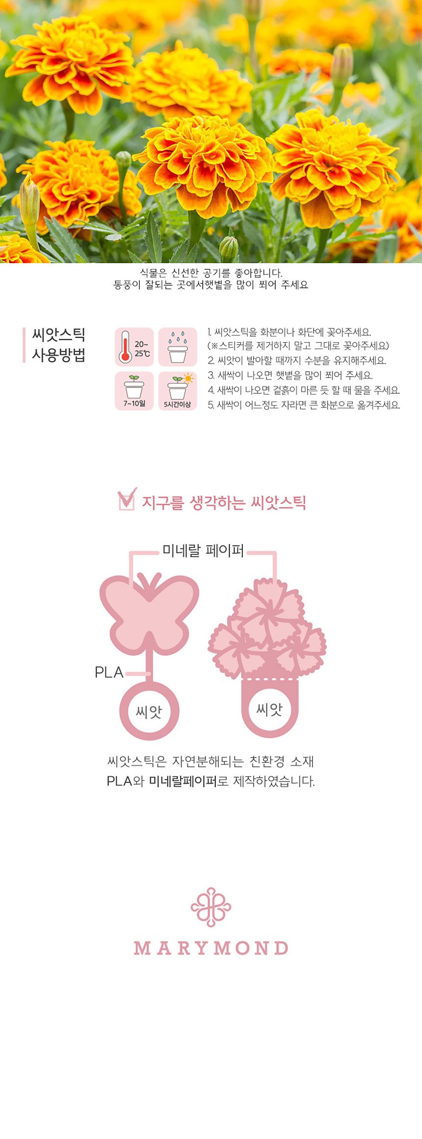 꽃씨앗 씨드스틱 마리몬드 플라워 씨앗카드 메리골드/식물카드/씨앗카드/꽃씨/꽃씨앗/식물선물/씨앗선물/어