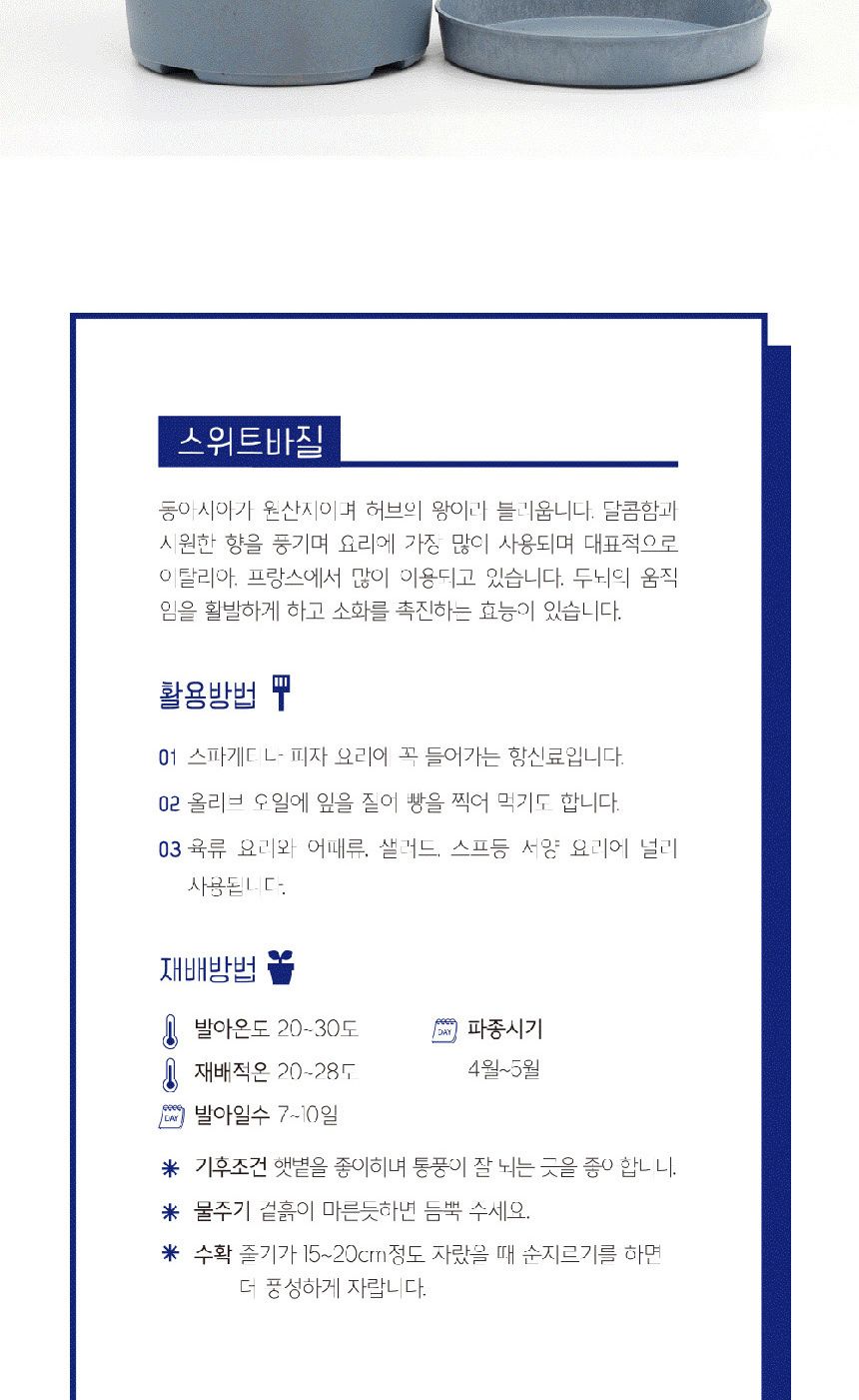 텃밭 화분 DIY 식집사 셰프가든 스위트바질 키우기/식물키우기/식물재배기/DIY키트/홈가드닝/반려식물/실내