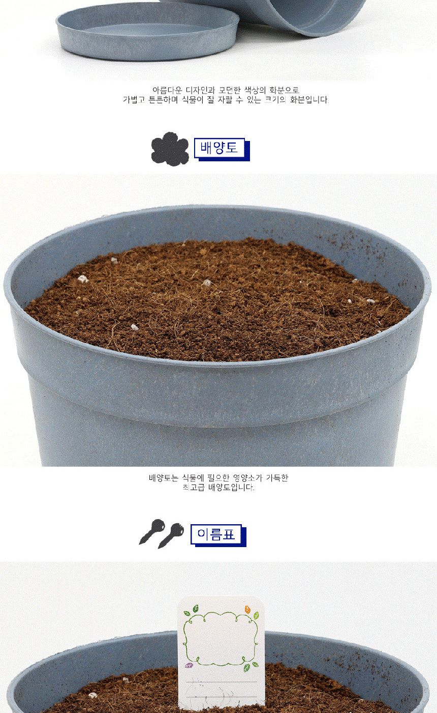 텃밭 화분 DIY 식집사 셰프가든 스위트바질 키우기/식물키우기/식물재배기/DIY키트/홈가드닝/반려식물/실내