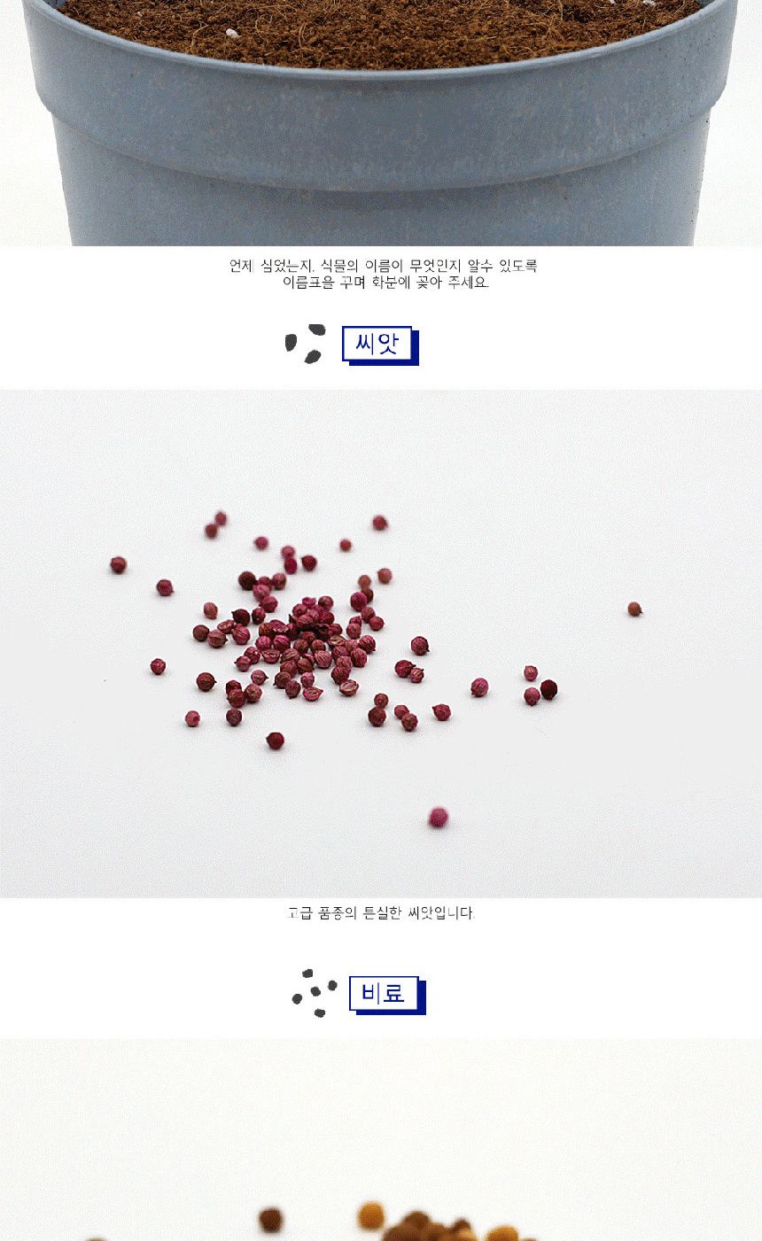 텃밭 화분 DIY 식집사 셰프가든 스위트바질 키우기/식물키우기/식물재배기/DIY키트/홈가드닝/반려식물/실내