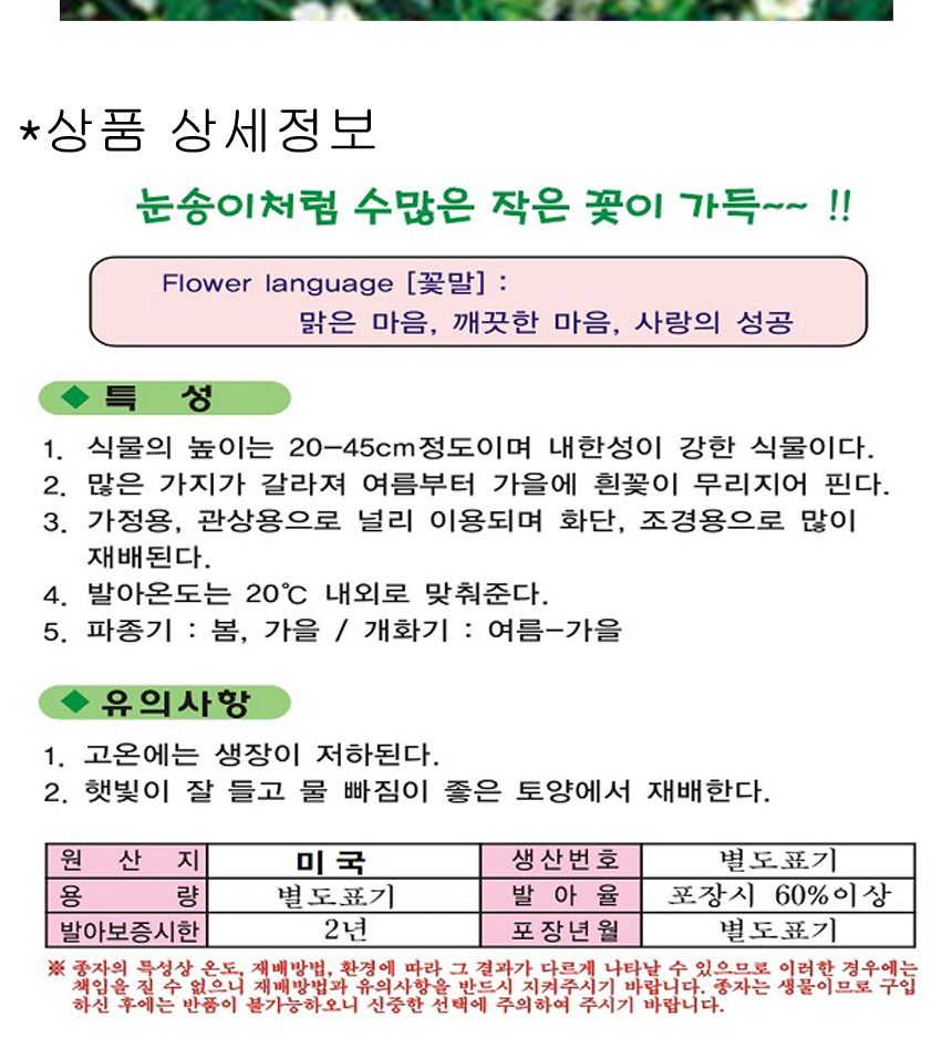 안개꽃 씨앗 야생화 꽃씨 종자 품종 정원 700g/씨/씨앗/야생화씨/야생화씨앗/야생화키우기/꽃씨앗/정원꾸미